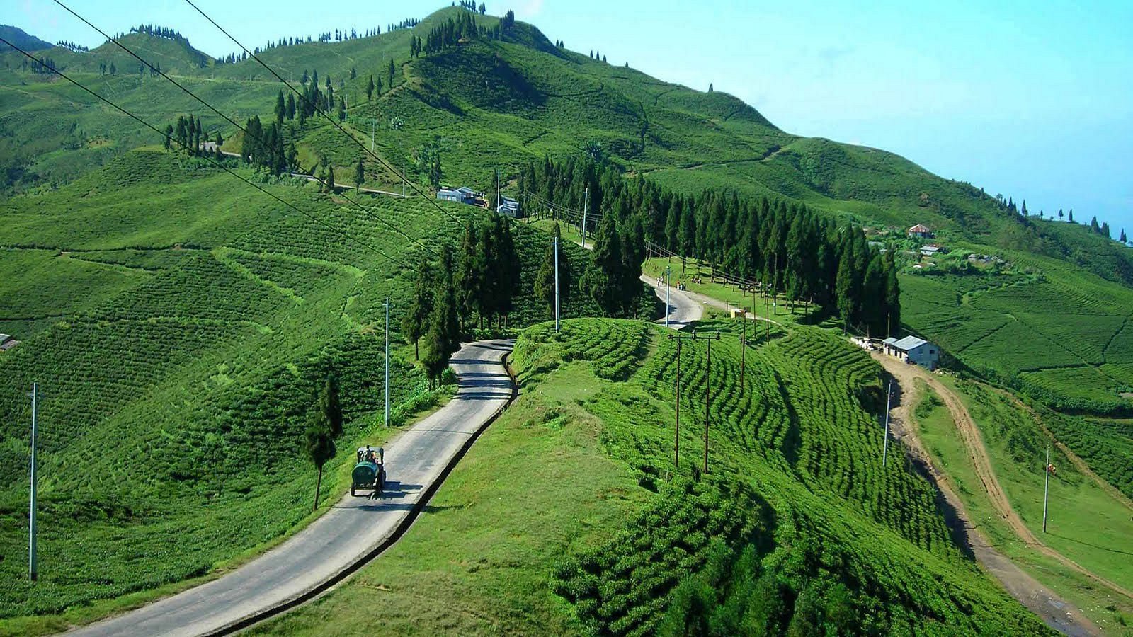 Illam Tea Garden